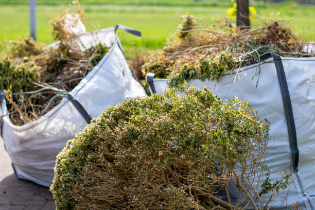 Basement Cleanout Services in Cashton, WI