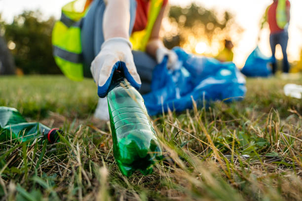 Yard Cleanup Services in Cashton, WI